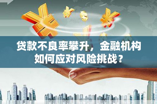 九原贷款不良率攀升，金融机构如何应对风险挑战？